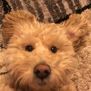 Meet your Posher, Erika